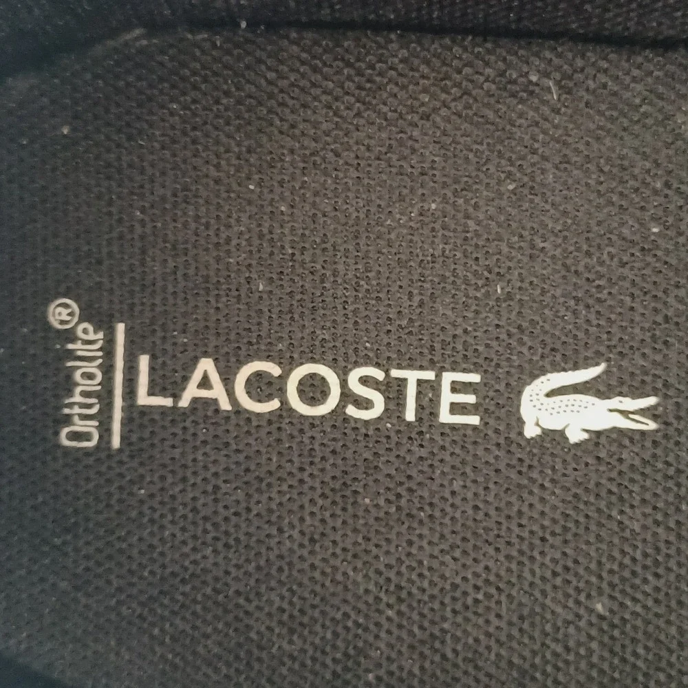 Lacoste minzah 319
